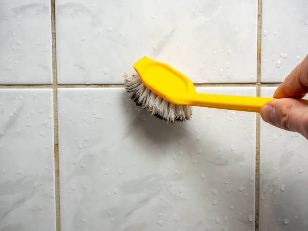 Best Office Mold Removal Services  in Minneapolis, KS