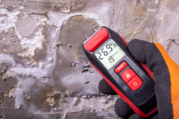 Best Mold Testing  in Minneapolis, KS