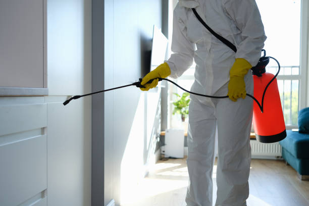 Professional Mold Removal in Minneapolis, KS