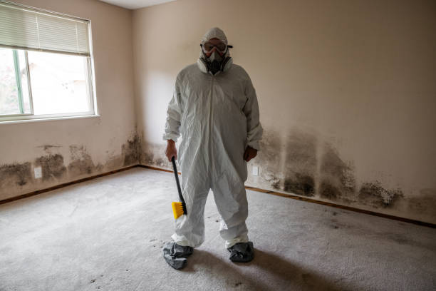 Best Toxic Mold Removal  in Minneapolis, KS